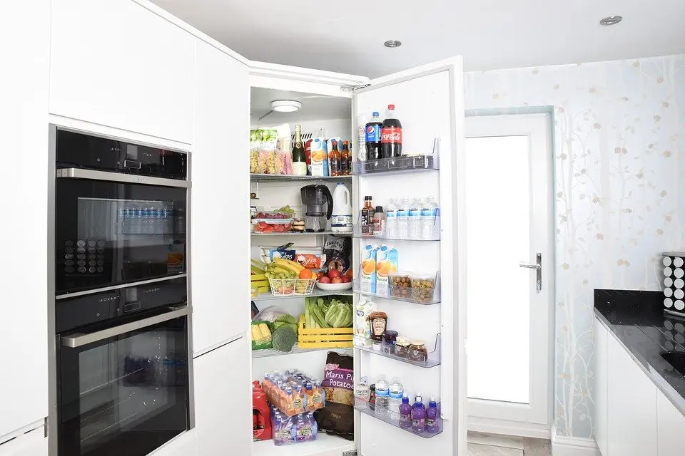 Refrigerator-Repair--in-Lincoln-Acres-California-Refrigerator-Repair-204288-image
