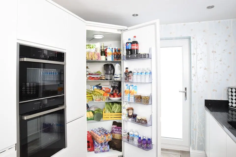 Refrigerator-Repair--in-Julian-California-Refrigerator-Repair-204288-image